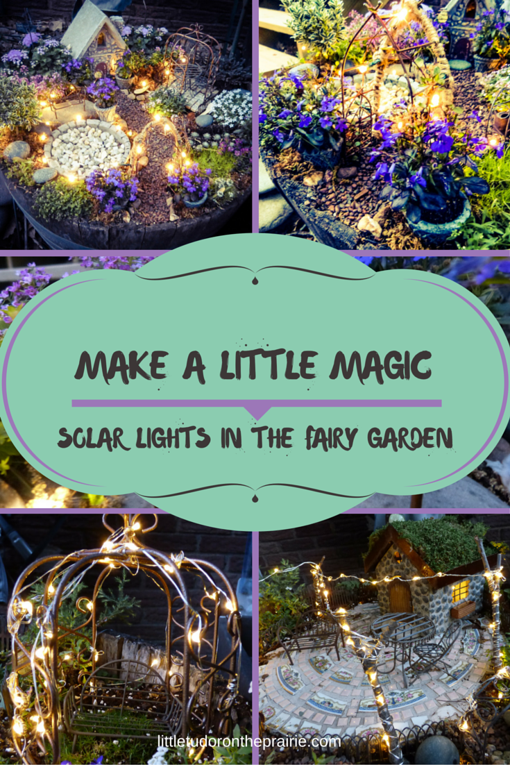 Make a little magic using solar LED twinkle lights in your fairy garden. Instructions and recommended plants are included.