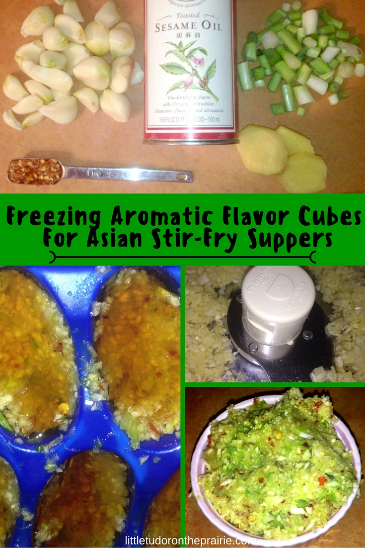 Freezing Aromatic Flavor Cubes for Asian Stir Fry Suppers